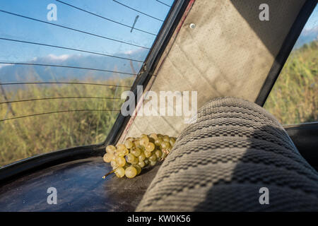 Le uve in un auto con una vista che domina le montagne del Caucaso al di fuori del villaggio Velistsikhe nella regione di Kakheti, Georgia Foto Stock