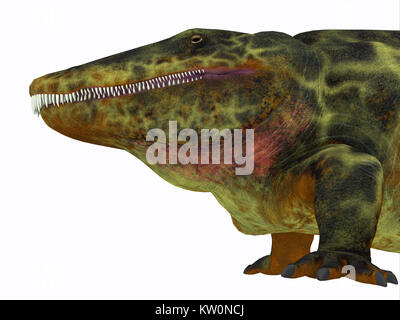 Eryops era un semi-acquatico imboscata predator molto simile al moderno coccodrillo e vissuto in Texas, Nuovo Messico e USA orientale nel periodo Permiano. Foto Stock