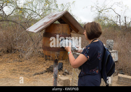 Un turista lo svuotamento del cilindro Post, Post Office Bay, isola Floreana, Isole Galapagos, Ecuador America del Sud Foto Stock