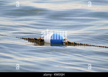 La boa nel nuoto Area del Lago Foto Stock