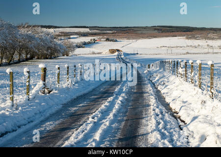 Coperta di neve torna su strada attraverso i terreni agricoli nei pressi di via, Lanarkshire, Scozia Foto Stock