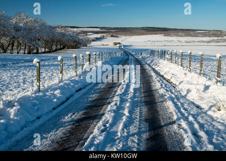 Coperta di neve torna su strada attraverso i terreni agricoli nei pressi di via, Lanarkshire, Scozia Foto Stock