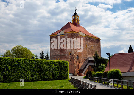 Peitz, bassa sede tiepida, fortezza tempesta della ex roccaforte, Niederlausitz, Festungsturm der ehemaligen Zitadelle Foto Stock