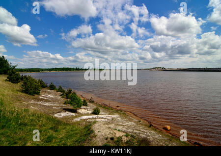 Risultato di data mining scenario, Lusatian paese sul mare, Wanninchen GFN, successione, Schlabendorfer lago, Bergbaufolgelandschaft, Lausitzer Seenland, Sukzession, Foto Stock