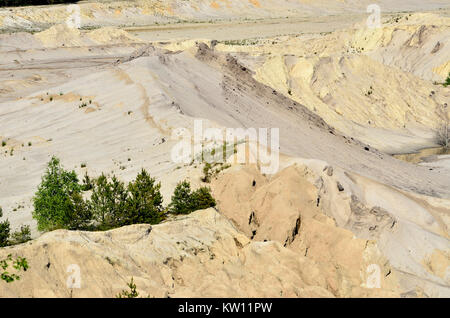 Risultato di data mining scenario, Lusatian paese sul mare, Wanninchen GFN, successione Stiebsdorfer lago, Bergbaufolgelandschaft, Lausitzer Seenland, Sukzession stie Foto Stock