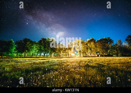 Alberi verdi boschi nel Parco di notte sotto il cielo stellato. Paesaggio notturno con naturale incandescente Reale Via Lattea stelle su prato in stagione estiva. Vista dal Foto Stock