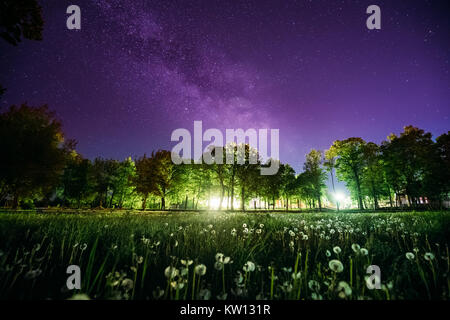 Alberi verdi boschi nel Parco di notte sotto il cielo stellato di colore viola. Paesaggio con incandescente Via Lattea stelle su prato in stagione estiva. Vista da est Foto Stock