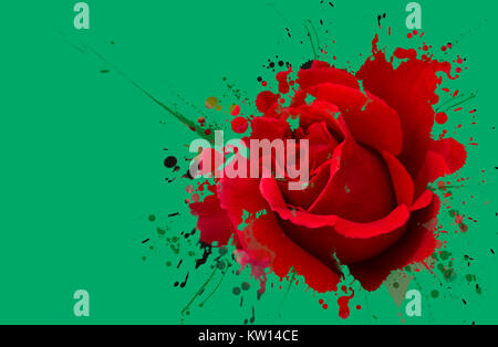Pennello con petali rossi di rosa. Sfondo naturale minimo. Fiore di  primavera concetto Foto stock - Alamy