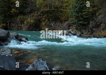 Fast fiume che scorre attraverso le rocce in una foresta di montagna Foto Stock