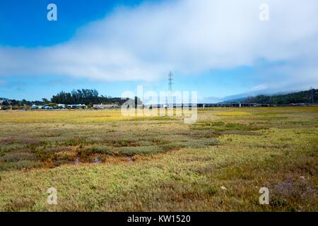 Le zone umide nella palude Bothin preservare, con l'autostrada 101 bridge visibile in background, Mill Valley, California, luglio 2016. Foto Stock