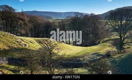 Guardando ad est di Burnsall dal sentiero vicino a Thorpe. Kail Hill, Numberstones fine e aria Scar falesie a destra e Appletreewick pascolo di distanza Foto Stock