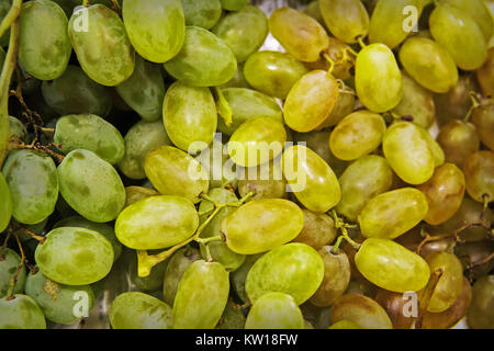 Sfondo di uva. Uva verde. Le uve bianche. Uva di savoiardi Foto Stock