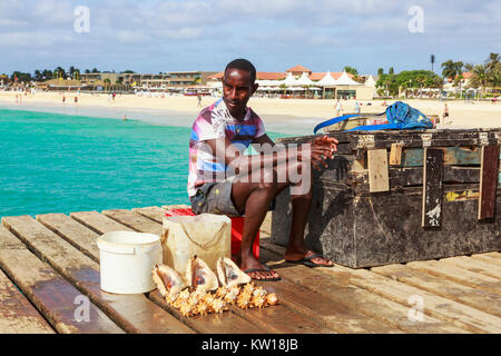L'uomo vendere carni conch gusci per i turisti sul molo di Santa Maria, Isola di Sal, Salina, Capo Verde, Africa Foto Stock