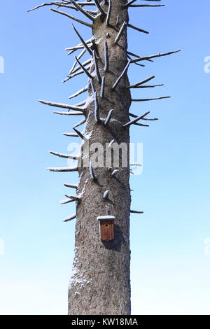 Birdhouse - nido di uccelli - coperta di neve Foto Stock