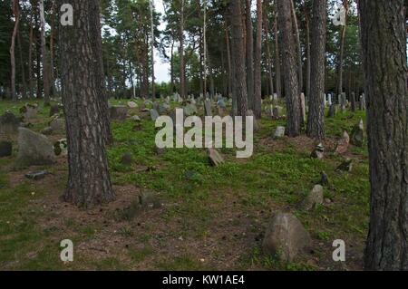 Tombe musulmane in Kruszyniany, Voivodato Podlaskie, Polonia. Foto Stock