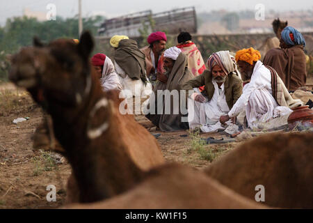 Di scena a Pushkar Camel Fair, gli uomini al loro rituali mattina, tè e sigari, Pushkar, Ajmer, Rajasthan, India Foto Stock