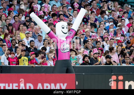 Sydney, Australia. 28 dicembre, 2017. Sydney Sixers appassionati al KFC Big Bash League Cricket gioco tra Sydney Sixers v Adelaide percussori presso la SCG a Sydney. Credito: Steven Markham/Alamy Live News Foto Stock