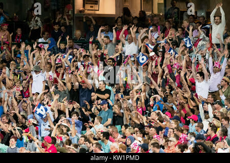 Sydney, Australia. 28 Dic, 2017.Sydney Sixers appassionati al KFC Big Bash League Cricket gioco tra Sydney Sixers v Adelaide percussori presso la SCG a Sydney. Credito: Steven Markham/Alamy Live News Foto Stock