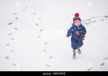 Mossley, UK. 29 Dic, 2017. Tre anni di Luca Wilkinson gioca nella neve in Pennine villaggio di Mossley, Greater Manchester venerdì 29 dicembre 2017. Credito: Matthew Wilkinson/Alamy Live News Foto Stock