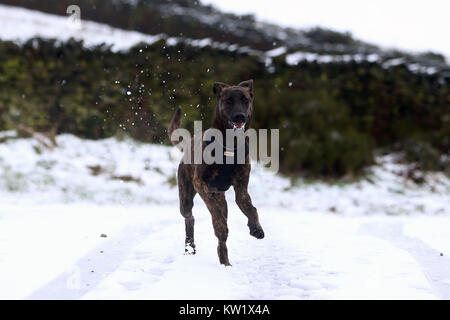 Neve invernale scene intorno a Birch Vale, High Peak, Regno Unito Foto Stock