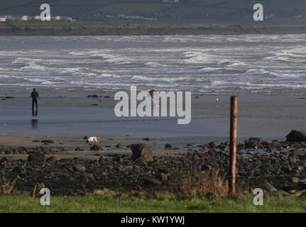 La contea di Down Coast, Irlanda del Nord, Regno Unito. Il 29 dicembre 2017. Regno Unito - previsioni del tempo - una fredda giornata di vento con Pesanti rovesci sulla contea di Down costa dell'Irlanda del Nord. Credito: David Hunter/Alamy Live News. Foto Stock