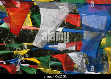 Preghiera tibetano bandiere, infilate su funi, contro lo sfondo di alberi. Foto Stock