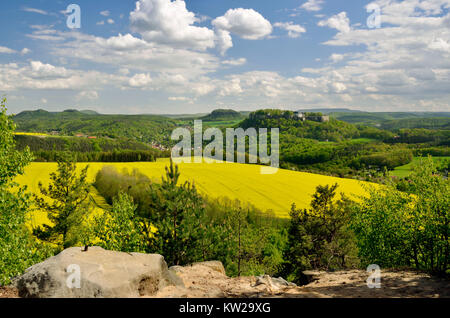 Svizzera sassone, fortezza re della pietra in vista del piccolo orso di pietra, Festung Königstein in der Ansicht vom Kleinen Bärenstein Foto Stock