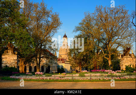 A Dresda, Br?hlscher giardino con la Chiesa di Nostra Signora, Brühlscher Garten mit Frauenkirche Foto Stock