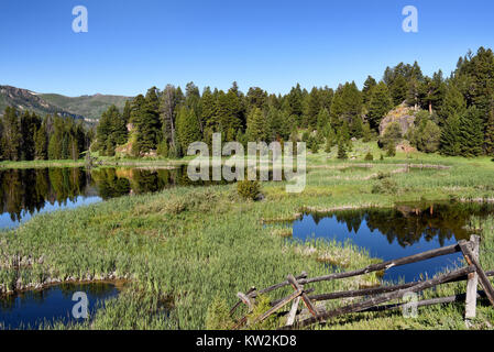 Stagno e la recinzione lungo la Beartooth Highway, Wyoming. Il Chief Joseph che si collega con la Beartooth Scenic Byways sono considerati uno dei più Foto Stock