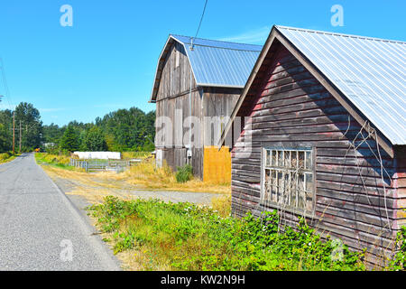 Due fienili lungo una strada di campagna in Ferndale, Washington, Stati Uniti d'America. Balle di fieno sono impilati lungo la strada. Foto Stock