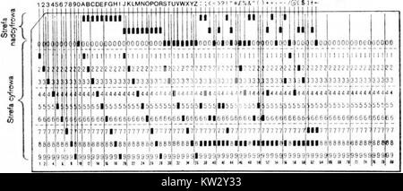 Una scheda perforata con 80 colonne, parte del sistema di calcolo Odra, che è stata utilizzata per l'elaborazione dei dati. L'immagine riflette una pietra miliare tecnologica nella storia del computing. Foto Stock