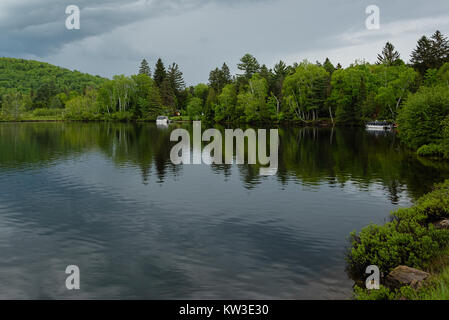Verde di pini con bellissimi riflessi nel lago sotto il cielo nuvoloso Foto Stock