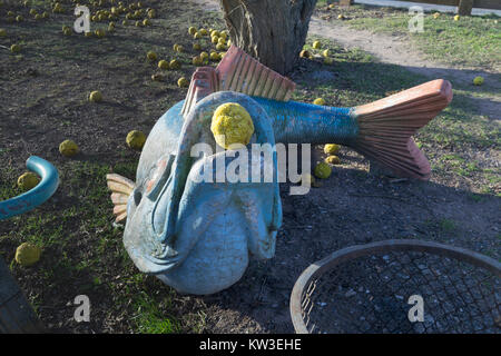 Osage arancio di frutta nella bocca del pesce (scultura) a Dorothy Fitzpatrick la pesca del molo, Staten Island NY Foto Stock