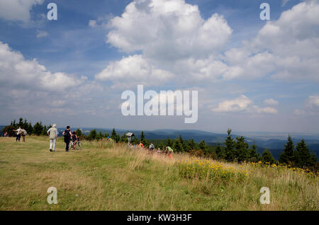 Visualizza altopiano della testa nevoso, legno di Turingia, Aussichtsplateau des Schneekopf, Thueringer Wald Foto Stock