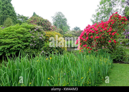 Biddulph Grange Giardino Staffordshire, Inghilterra DSC09120 Foto Stock