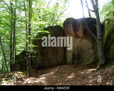 Foto della collezione "BisPagSummer01", che mostra scene estive a Bismarck, North Dakota, catturando la vita quotidiana e i paesaggi regionali durante i primi anni del XX secolo. Foto Stock