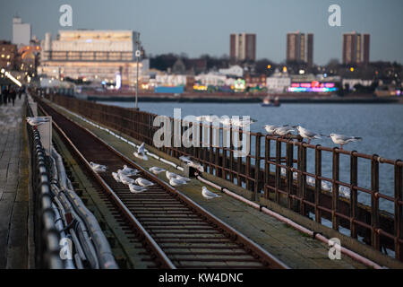Gabbiani sulla pista di Southend-on-Sea Pier Foto Stock