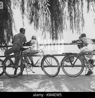 Vacanze in tempo di guerra, domenica i ciclisti guardando velieri a Haines punto, Washington, DC, 1941. Dalla Biblioteca Pubblica di New York. Foto Stock