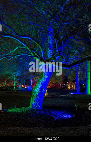 Albero di natale luci e pagoda a RHS Wisley Gardens, Surrey, Inghilterra. Natale Glow Festival 2017 Foto Stock