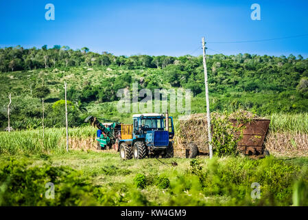 Raccolto di canna da zucchero sul campo con una mietitrebbia a Santa Clara Cuba - Serie Cuba Reportage Foto Stock