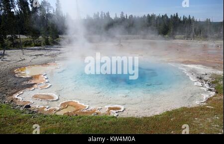 Silex la molla nella parte inferiore Geyser Basin, il Parco Nazionale di Yellowstone, Wyoming, luglio 2015. Immagine cortesia Diane Renkin/Parco Nazionale di Yellowstone. Foto Stock