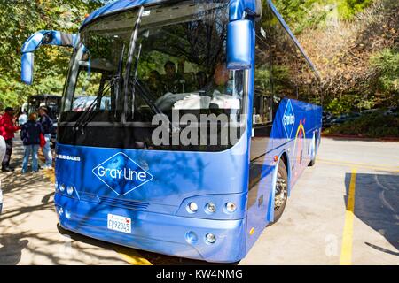 Un bus per i turisti è parcheggiato nel Muir Woods National Monument in Mill Valley, California, 5 settembre 2016. Foto Stock