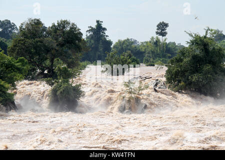 Khone Pha waterfal Pheng e durante la stagione delle piogge in Laos Foto Stock