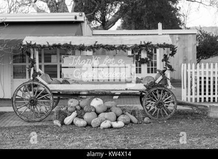 Farm stand in amagansett, NY Foto Stock