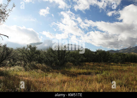 BLUE HAVEN ROAD, lungo Sonoita Creek, a ovest della Patagonia, Az (9 23 10) (3) (5018827874) Foto Stock