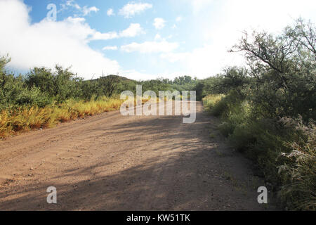 BLUE HAVEN ROAD, lungo Sonoita Creek, a ovest della Patagonia, Az (9 23 10) (6) (5018833084) Foto Stock