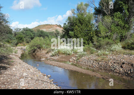 BLUE HAVEN ROAD, lungo Sonoita Creek, a ovest della Patagonia, Az (9 23 10) (11) (5018847456) Foto Stock