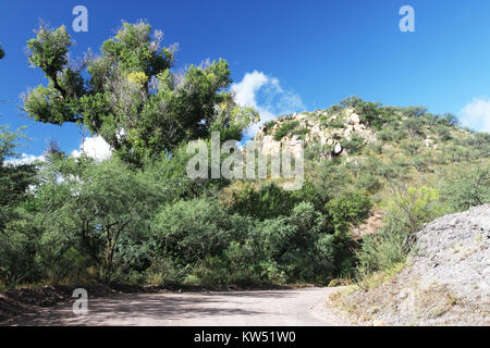 BLUE HAVEN ROAD, lungo Sonoita Creek, a ovest della Patagonia, Az (9 23 10) (15) (5018858668) Foto Stock