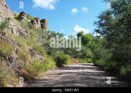 BLUE HAVEN ROAD, lungo Sonoita Creek, a ovest della Patagonia, Az (9 23 10) (16) (5018862132) Foto Stock