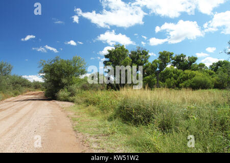 BLUE HAVEN ROAD, lungo Sonoita Creek, a ovest della Patagonia, Az (9 23 10) (17) (5018258213) Foto Stock